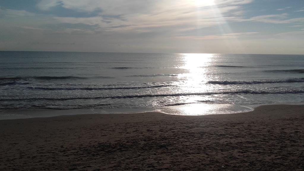 Apartamento Guardamar Playa Guardamar del Segura Ngoại thất bức ảnh